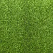 Штучна трава ecoGrass SD-35 (ландшафт)1