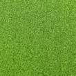 Штучна трава CCGrass Green E 12 (мультиспорт)1