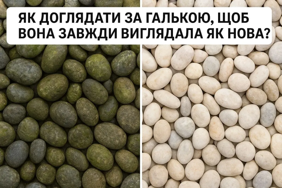 Как ухаживать за галькой, чтобы она всегда выглядела как новая?